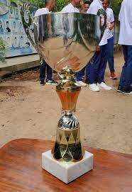 Nafyad School team sports